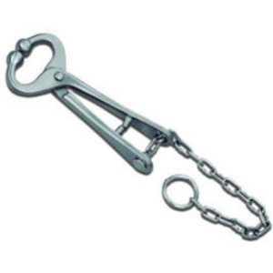 Livestock and Identification Equipments